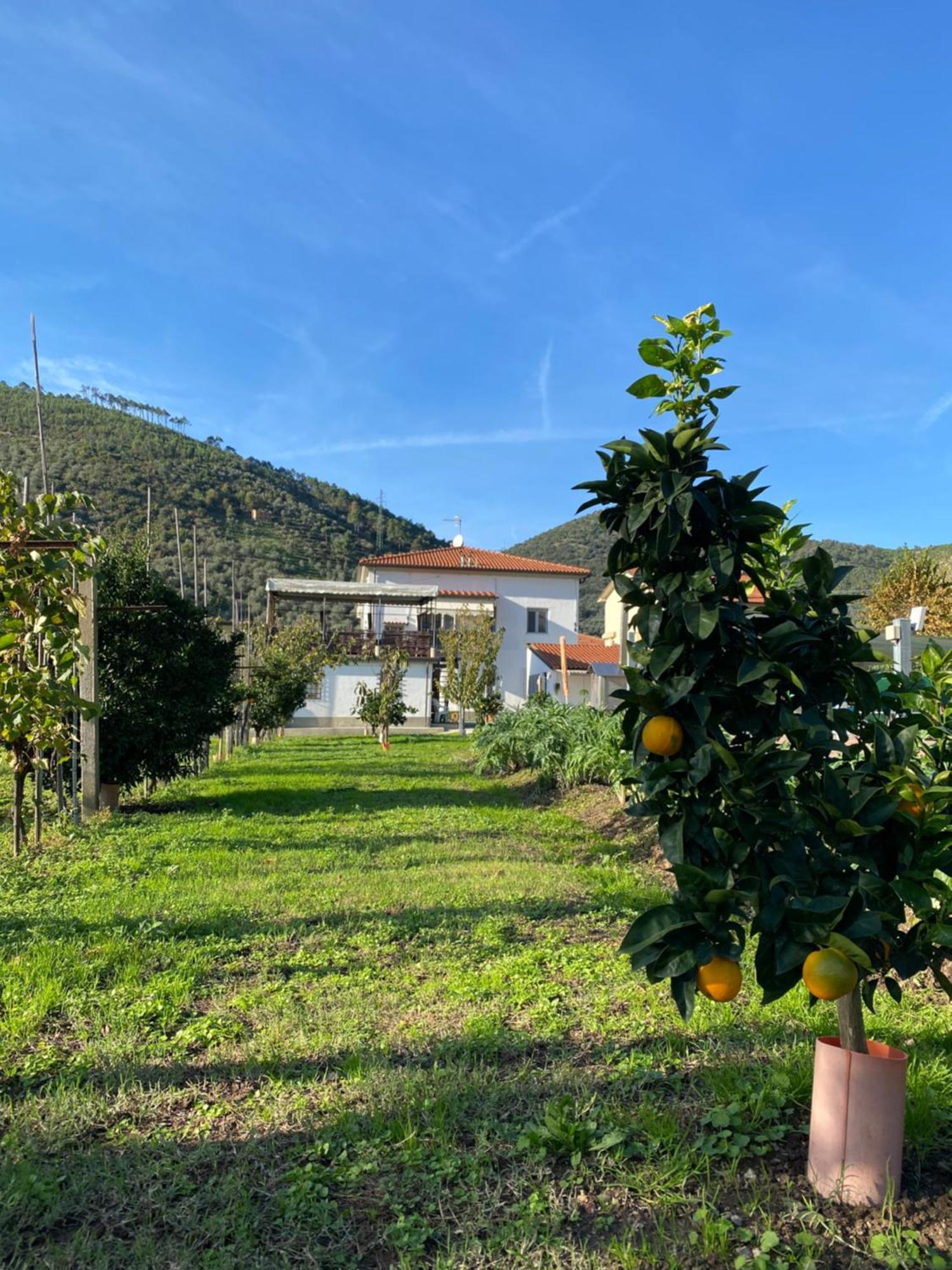 La Tenuta Di Eva Pisa Luaran gambar